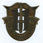 Special Forces Crest Patch with 11th Group Number (Subdued)
