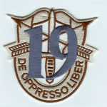Special Forces Crest Patch with 19th Group Number (Desert w/ Teal)
